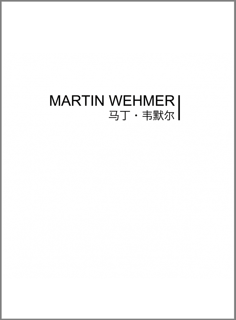 马丁•韦默尔 Martin Wehmer