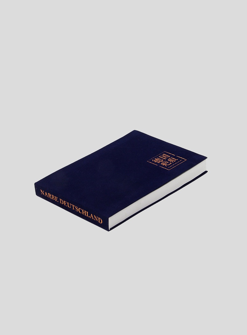 布克哈德·冯·哈德：德国伤疤 Burkhard von Harder：NARBE DEUTSCHLAND