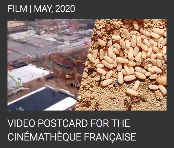 星球疤痕-法国电影资料馆巡演／布克哈德 PLANET SCAR // COVID-19/VIDEO POSTCARD FOR THE CINÉMATHÈQUE FRANÇAISE/Burkhard Von Harder