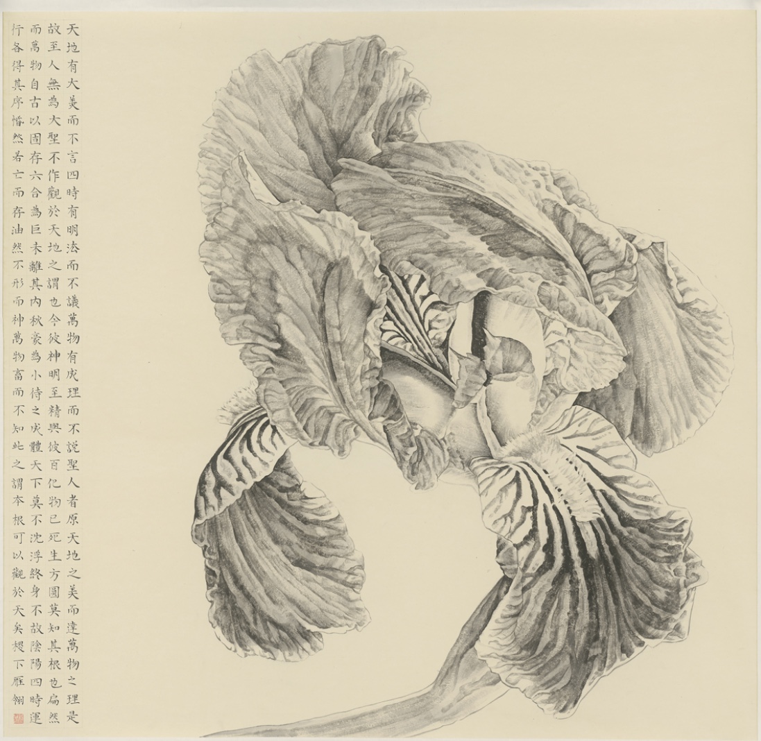 @ Yang Yanling