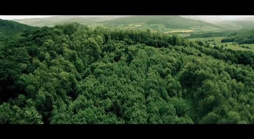 Burkhard von Barder : Scar Germany / Narbe Deutschland