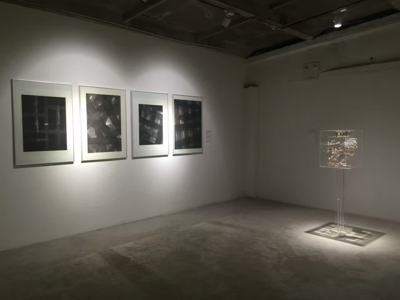 Metamorphosis - 2016 Fourth Biennale China-Italia of Contemporary Art