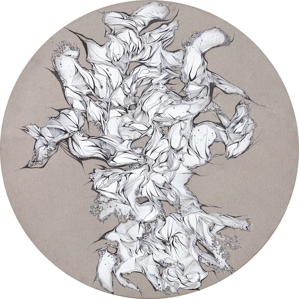 Observation - artist introduction Exhibition