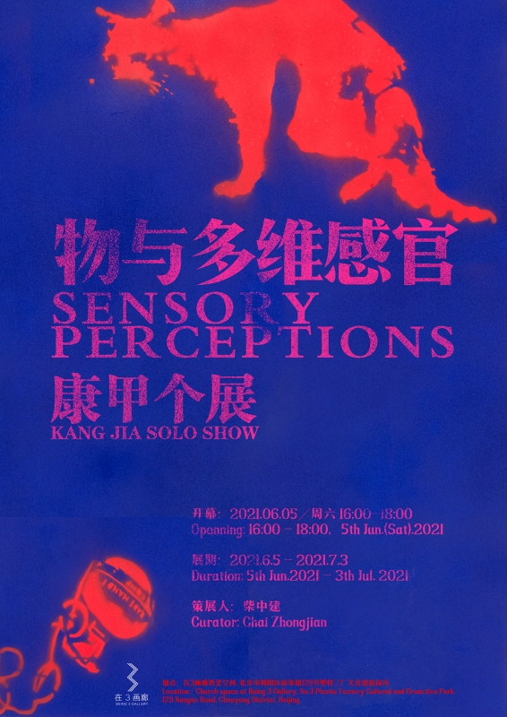 物与多维感官 - 康甲个展 Sensory Perceptions - Kang Jia Solo Show